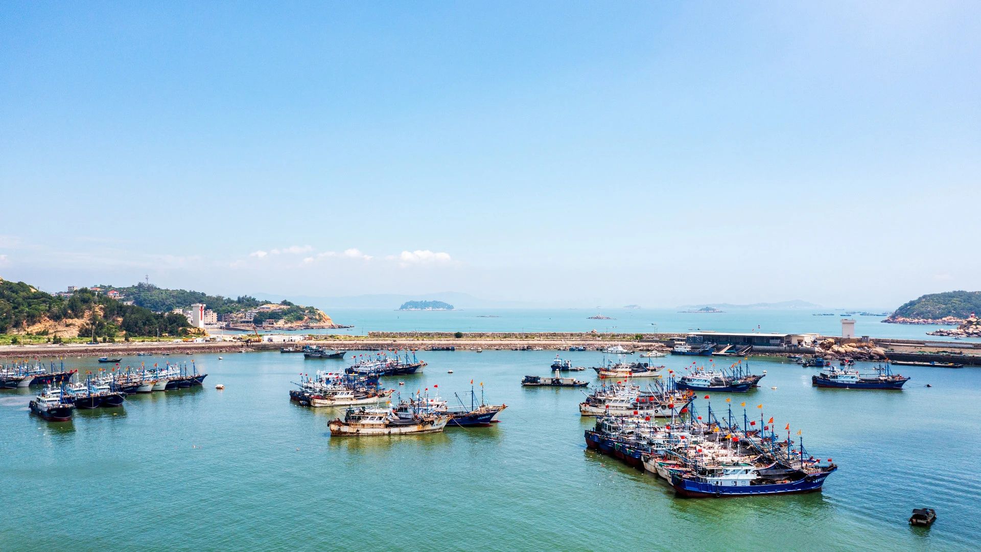 当贴秋膘遇到开海季，一大波深海美味正抢“鲜”上餐桌